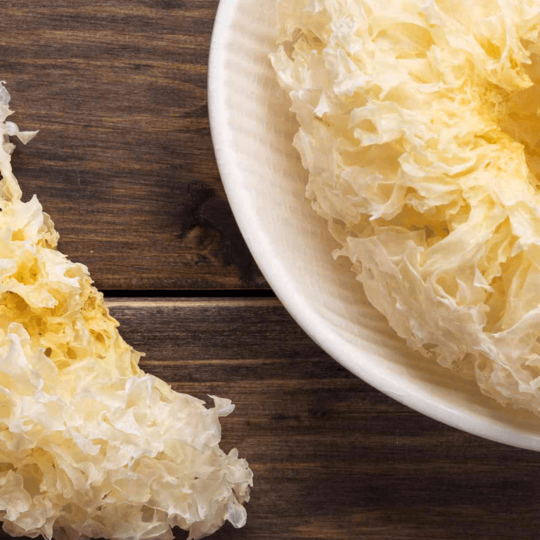 New Trend in Skincare: Tremella Mushrooms as Plant-Based Collagen for Youthful Skin